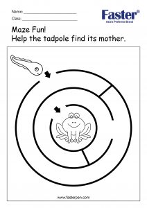 Maze Fun